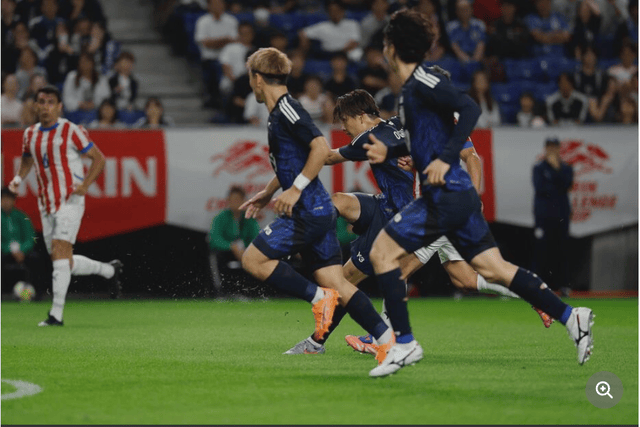 了巴西队 了巴西队